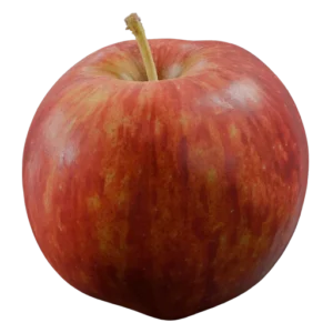 Apple 01
