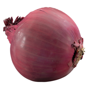 Onion 02