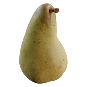 Pear 05