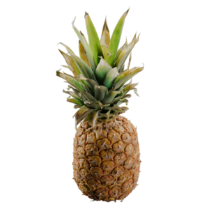 Pineapple 01