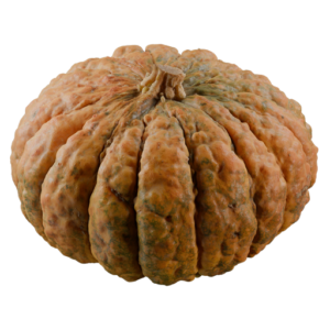 Pumpkin 07