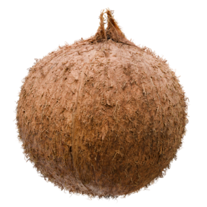 Coconut 01
