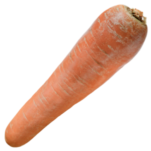 Carrot 02