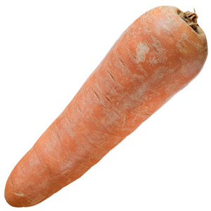 Carrot 03