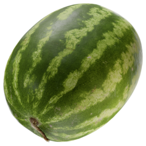 Watermelon 02